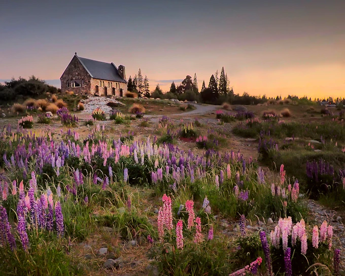 Small Group Guided Tour of Mt Cook & Lake Tekapo from Christchurch (Product 18516)