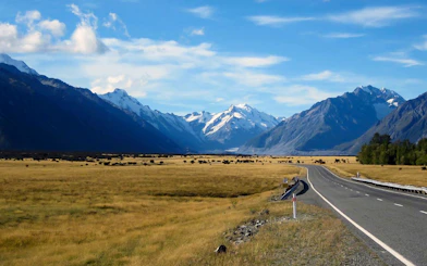 Open road leading to snow-capped Mt Cook with grassy plains, New Zealand.