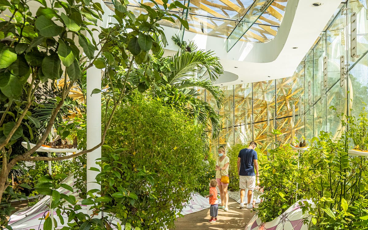 tickets to al noor island with optional butterfly house access & lunch-6 tickets to al noor island with optional butterfly house access & lunch-6