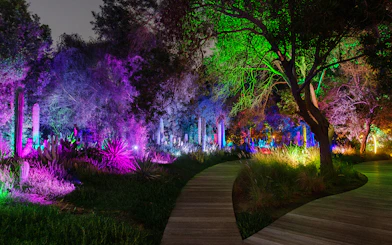 Pathway through illuminated gardens at Al Noor Island, Sharjah, with colorful lights on trees and plants.