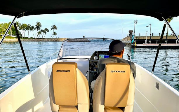 Speedboat navigating near Sentosa with palm trees and dock in view.