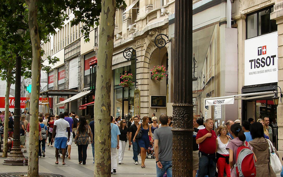 guided walking tour of champs-elysées & arc de triomphe direct entry ticket-4 guided walking tour of champs-elysées & arc de triomphe direct entry ticket-4