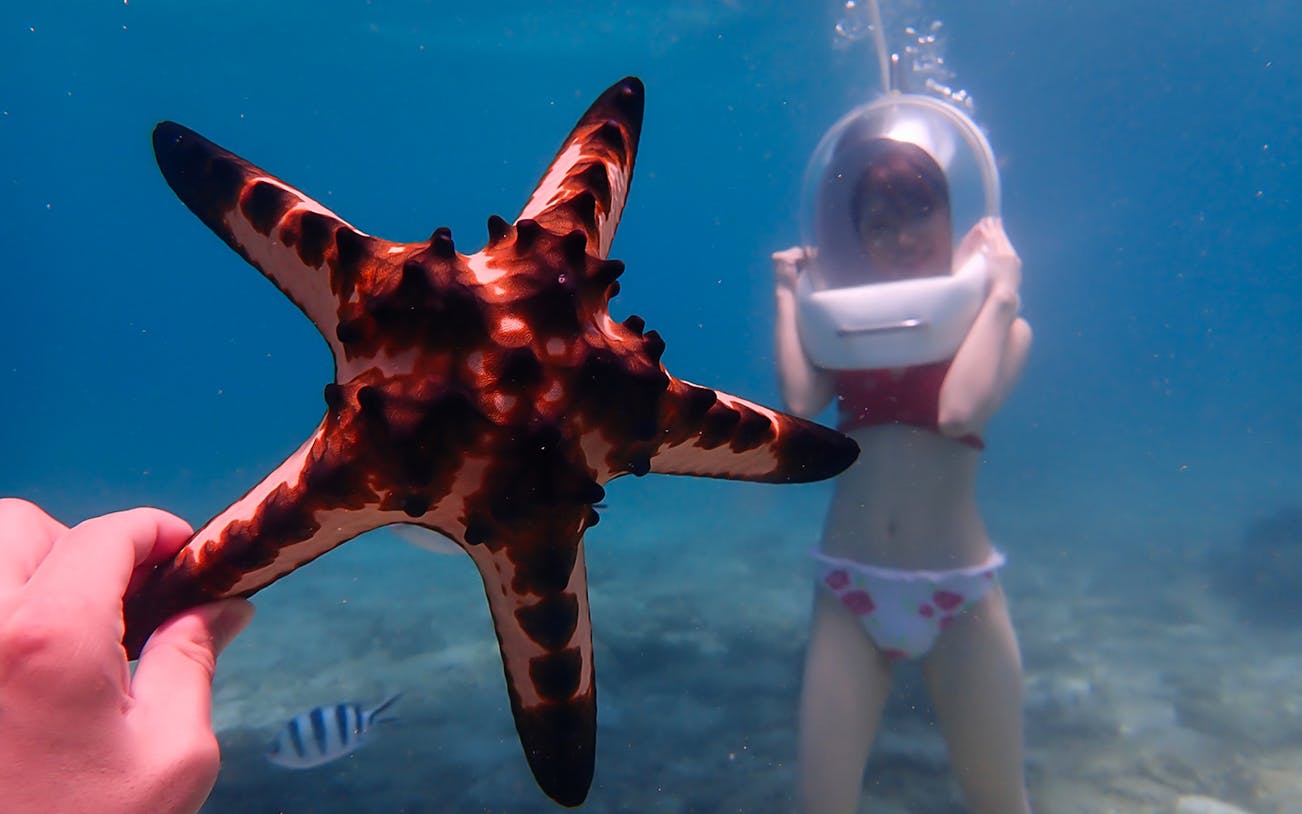 Underwater sea walk with starfish at Okinawa Marine Park.