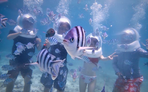 Underwater sea walking with fish at Okinawa Marine Park.