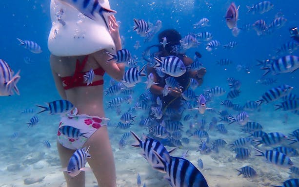 Underwater sea walking with striped fish at Okinawa Marine Park.
