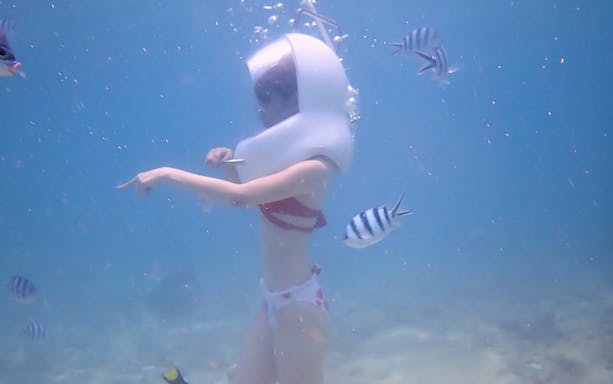 Underwater helmet diving with fish at Okinawa Marine Park.