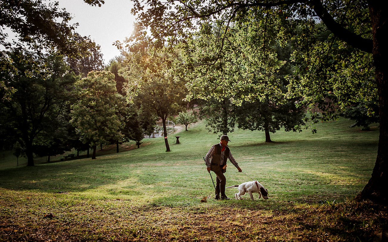 Man with dog searching for truffles in a wooded area during a private family experience.
