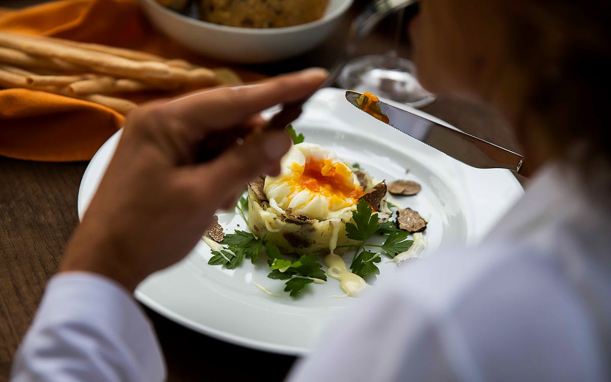truffle hunt: private experience with a local family-8 truffle hunt: private experience with a local family-8