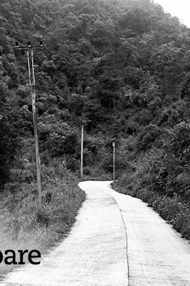 Winding road through dense forest with power lines, titled "Press" by Sam Hoare.
