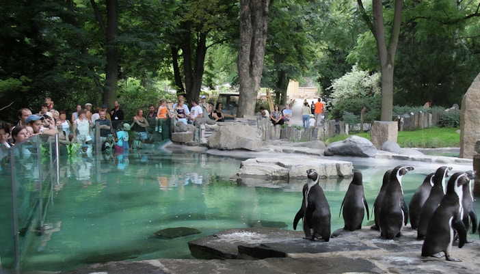 Zoológico de Praga - Pinguins - entrada zoológico