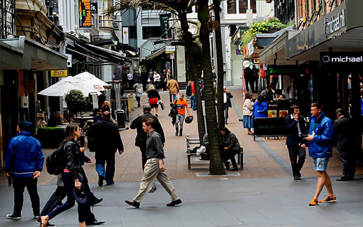 guided small group walking tour through auckland-9 guided small group walking tour through auckland-9