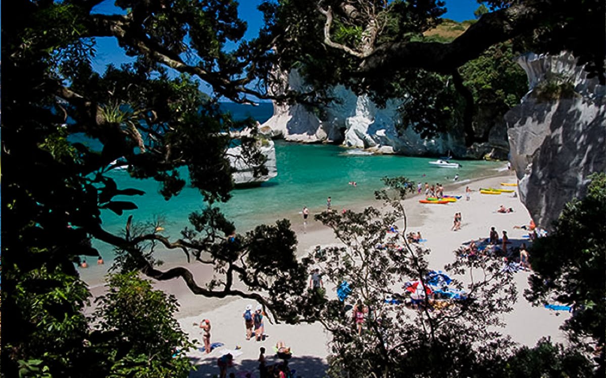 small group guided day trip to coromandel from auckland-4 small group guided day trip to coromandel from auckland-4
