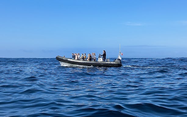 Boat with tourists on a dolphin watching tour in Lisbon, Portugal.
