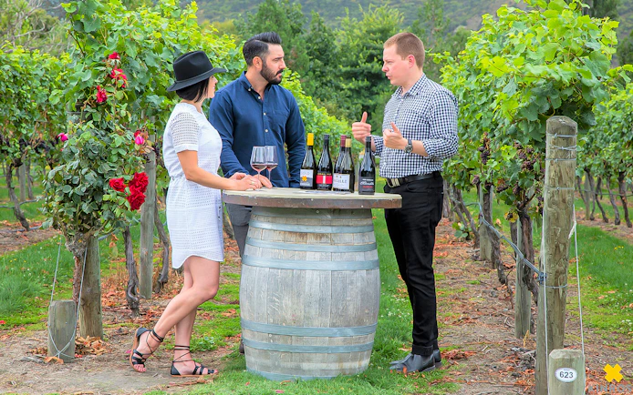 Wine tasting at a vineyard near Queenstown with three people discussing wine selections.