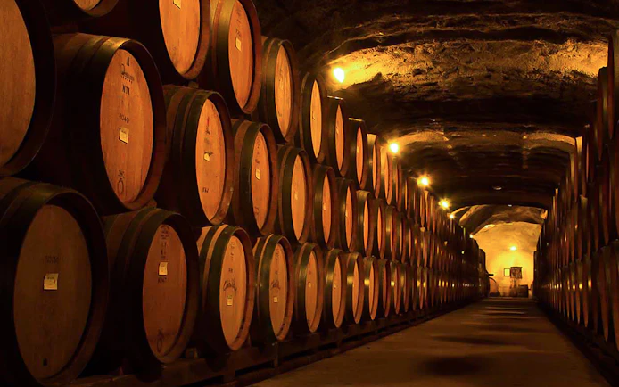 Wine barrels in a dimly lit cellar on a gourmet food and wine tour from Queenstown.