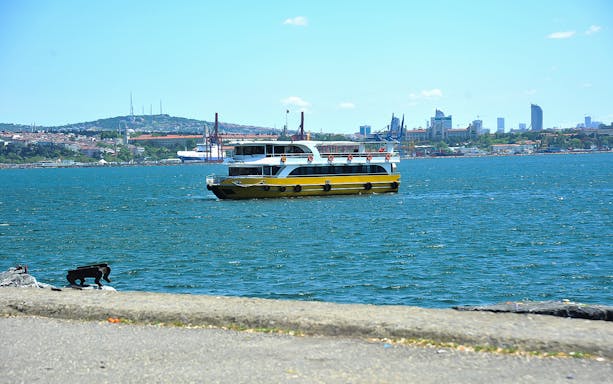 Cruise boat on the Bosphorus with Istanbul skyline in the background.