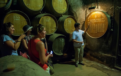 Tour guide explaining wine barrels in a cellar during Arrábida wine tour from Lisbon.