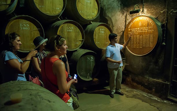 Tour guide explaining wine barrels in a cellar during Arrábida wine tour from Lisbon.