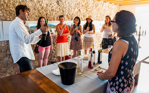 Group enjoying wine tasting on Arrábida tour from Lisbon.