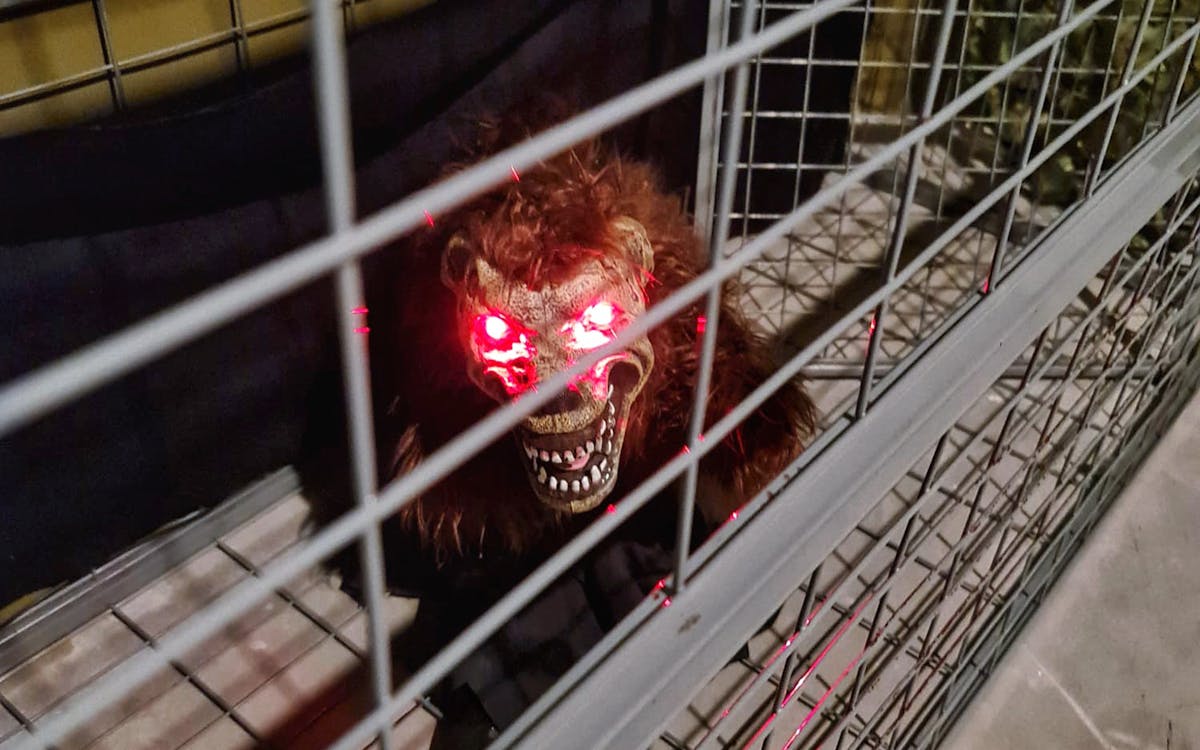 tickets to trapped escape room: singapore-7 tickets to trapped escape room: singapore-7