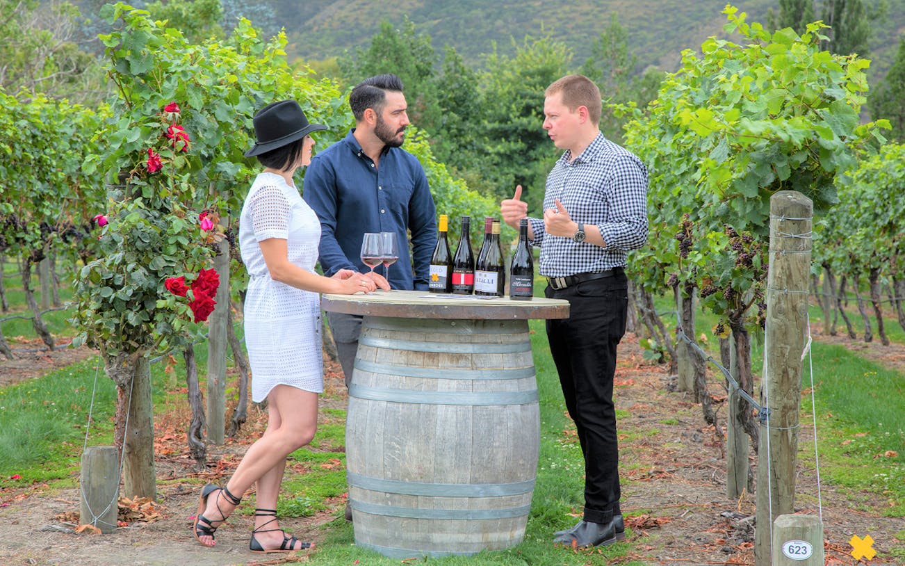 Wine tasting tour in Queenstown vineyard with guide and two visitors.
