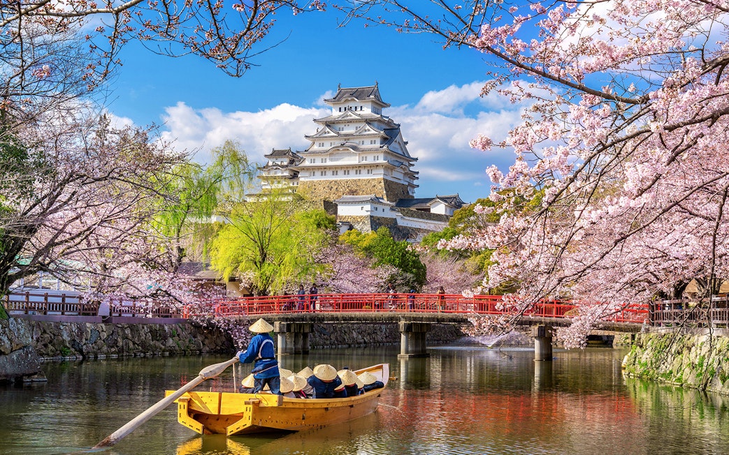 Boat on moat near Himeji Castle with cherry blossoms, Japan.