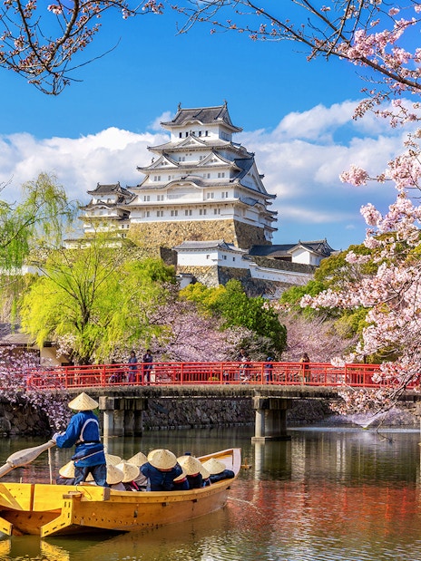 Boat on moat near Himeji Castle with cherry blossoms, Japan.