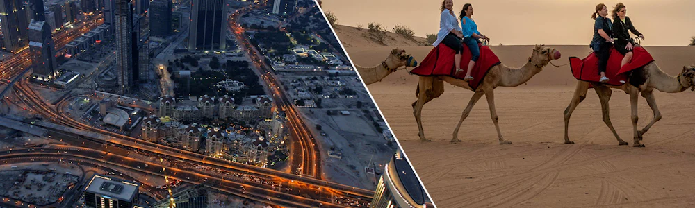 best desert safari dubai