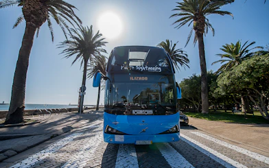 Hop-on hop-off bus in Porto with palm trees and ocean in the background.