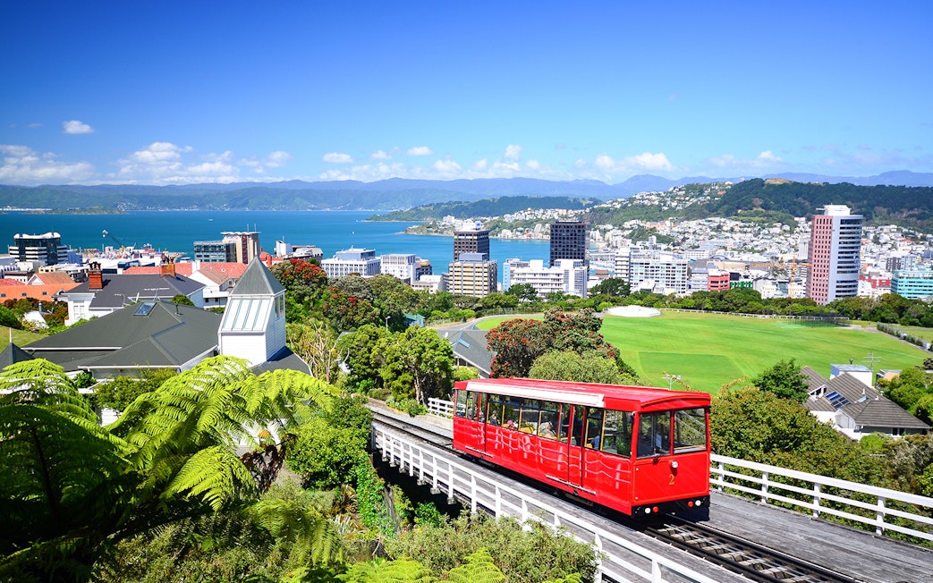 Wellington cable car with cityscape and harbor view on a guided tour.