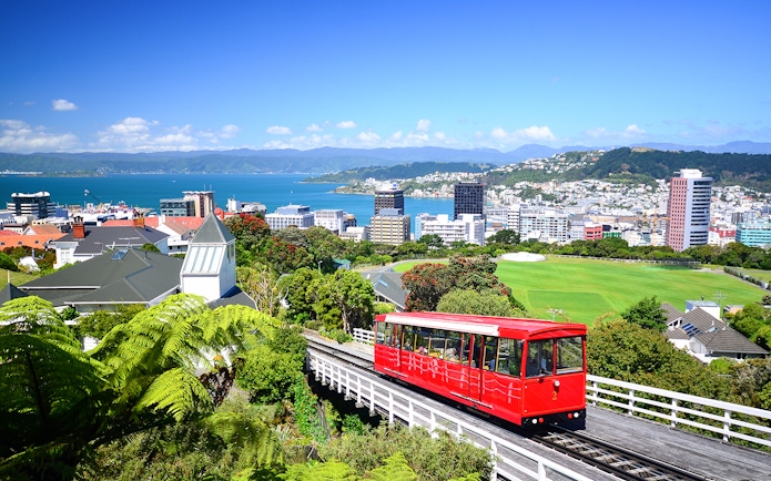Wellington cable car with cityscape and harbor view on a guided tour.