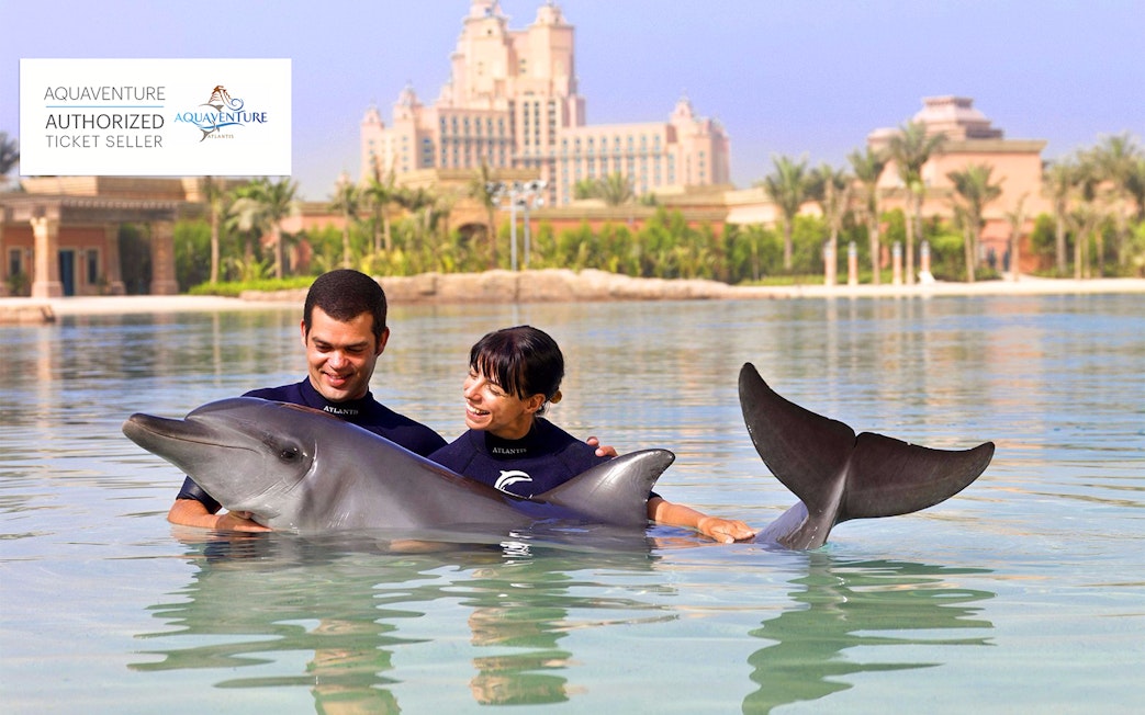 Swimming with dolphins at Atlantis Aquaventure, Dubai.