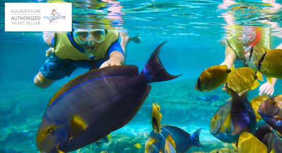 Lost Chambers Aquarium