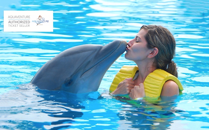 Dolphin interaction at Aquaventure, woman kissing dolphin in pool.