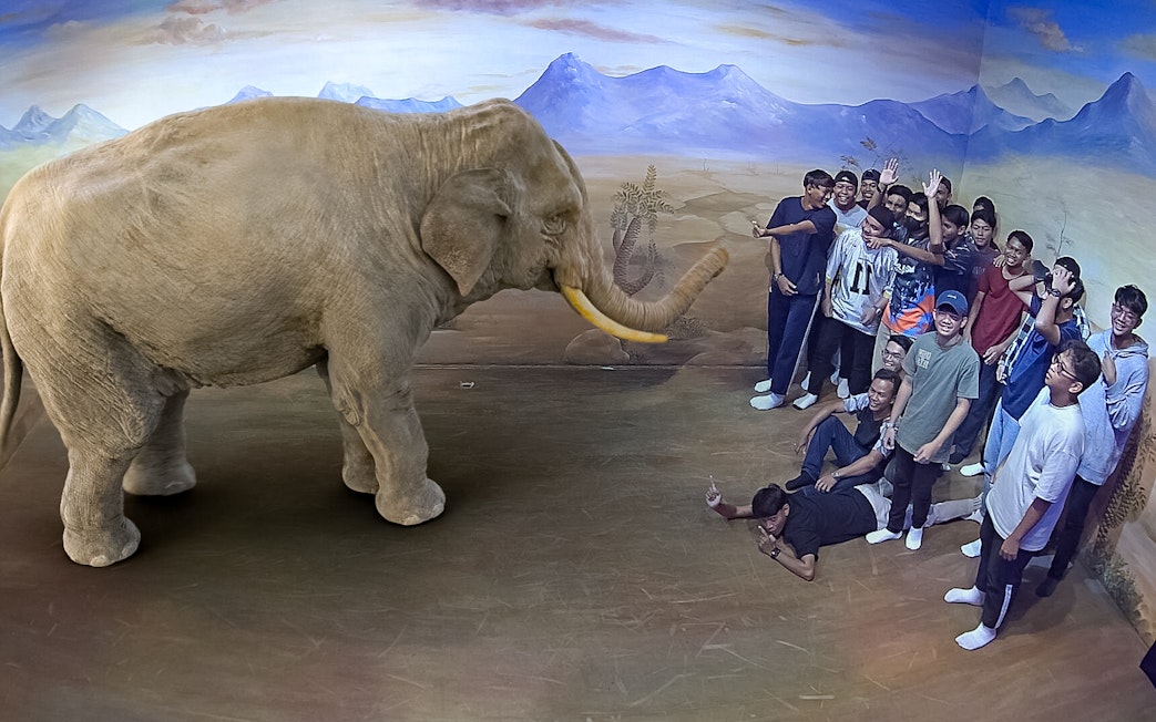 Group posing with 3D elephant illusion at Illusion 3D Art Museum Kuala Lumpur.