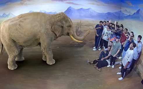Group posing with 3D elephant illusion at Illusion 3D Art Museum Kuala Lumpur.