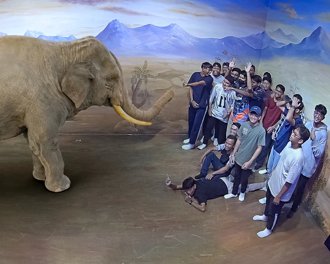 illusion 3D Art Museum Tickets