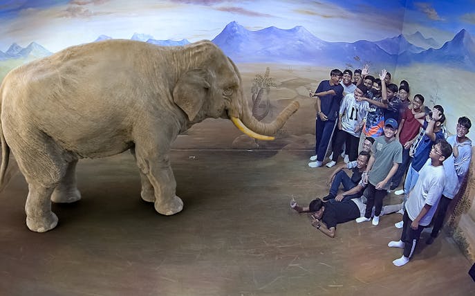 Group posing with 3D elephant illusion at Illusion 3D Art Museum Kuala Lumpur.