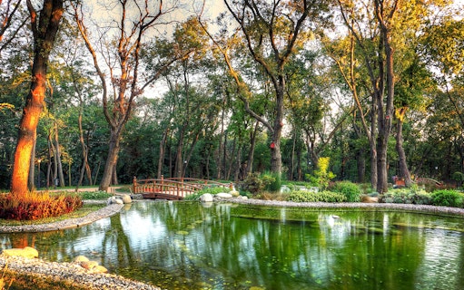 Scenic view of a park with a wooden bridge over a pond in Istanbul.