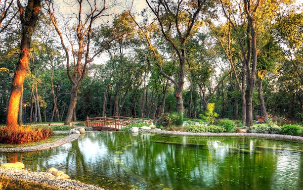 Scenic view of a park with a wooden bridge over a pond in Istanbul.