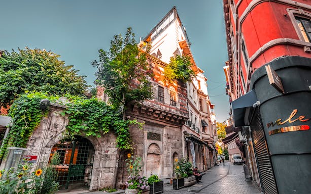 Historic street in Istanbul with ivy-covered buildings and vibrant architecture.