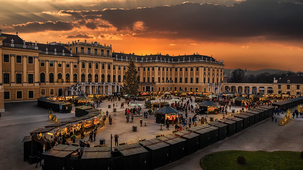 Dinner and Concert in Vienna