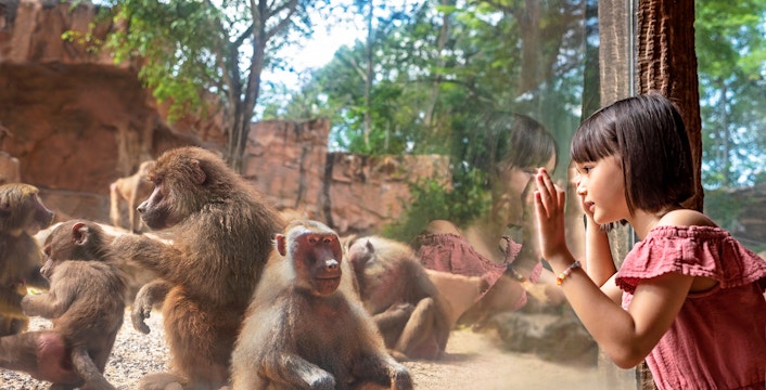 Mandai Wildlife Reserve entrance with visitors exploring 3-Park Entry Tickets in Singapore.