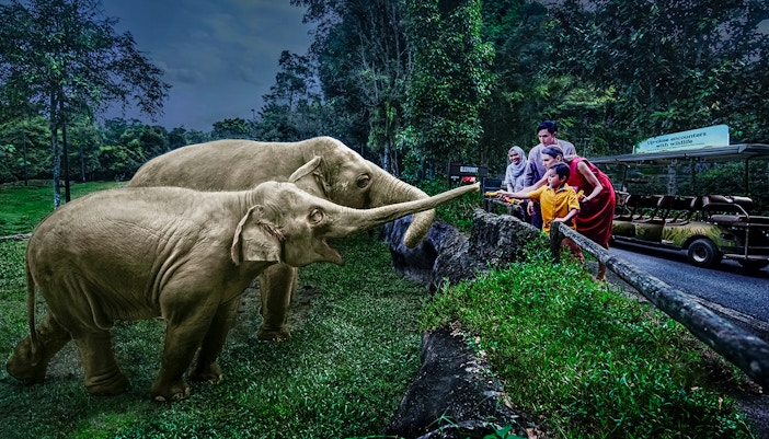 Mandai Wildlife Reserve - Staycation in the Wild