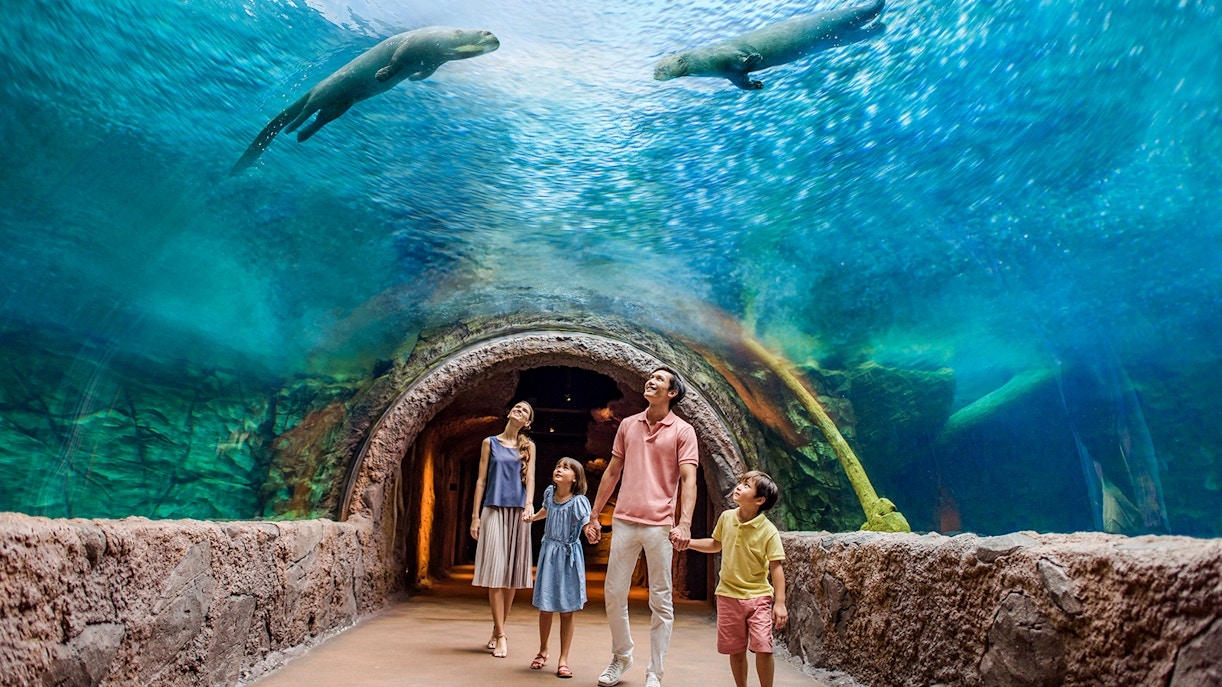 Family walking through underwater tunnel at Mandai Wildlife Reserve, Singapore.
