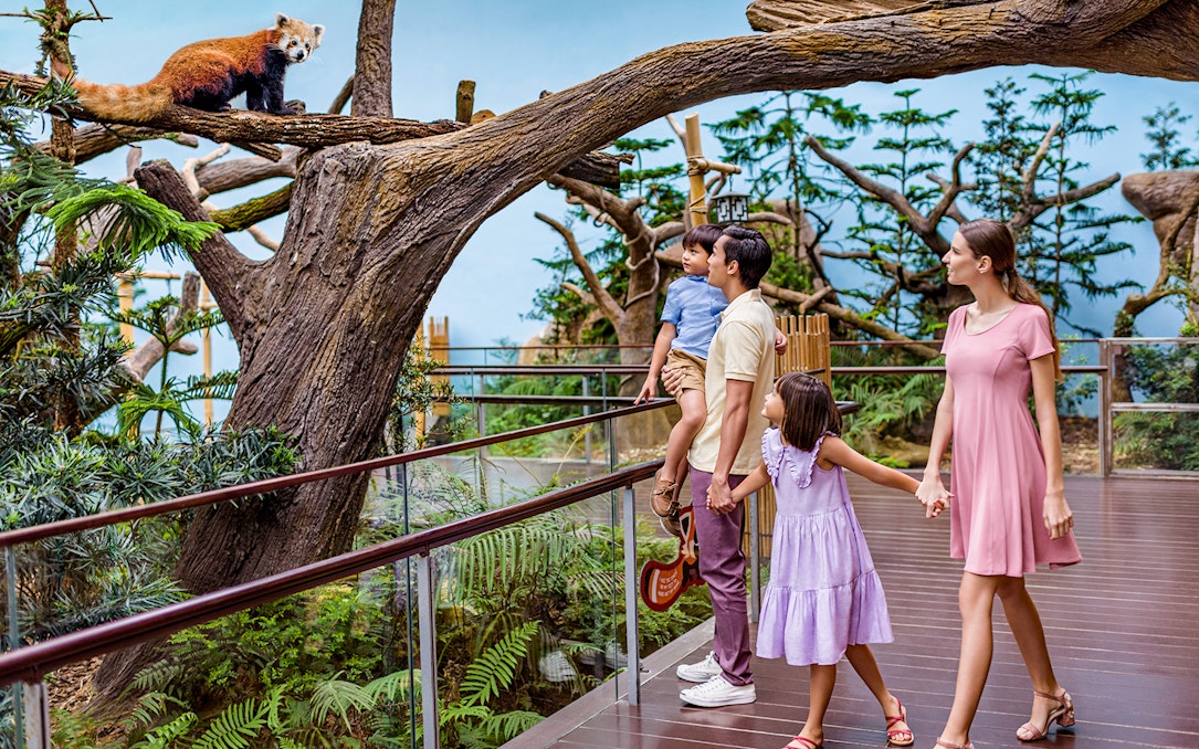 Family observing a red panda at Mandai Wildlife Reserve, Singapore.