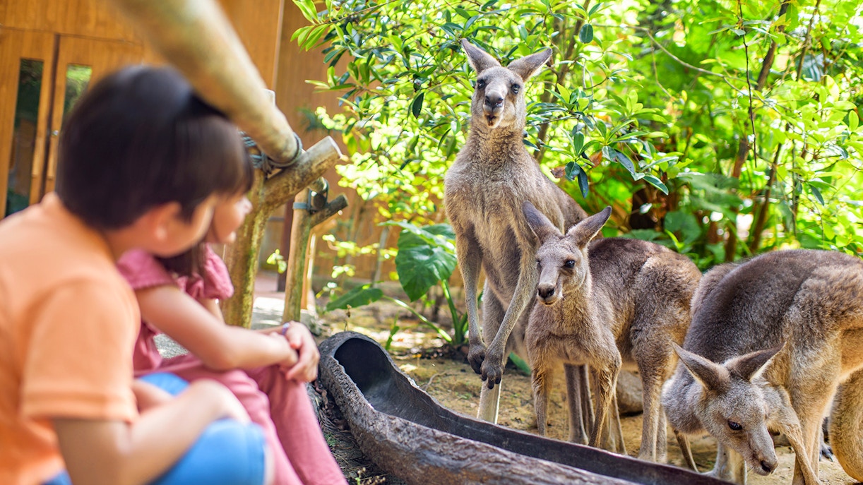 Mandai Wildlife Reserve - Nearby
