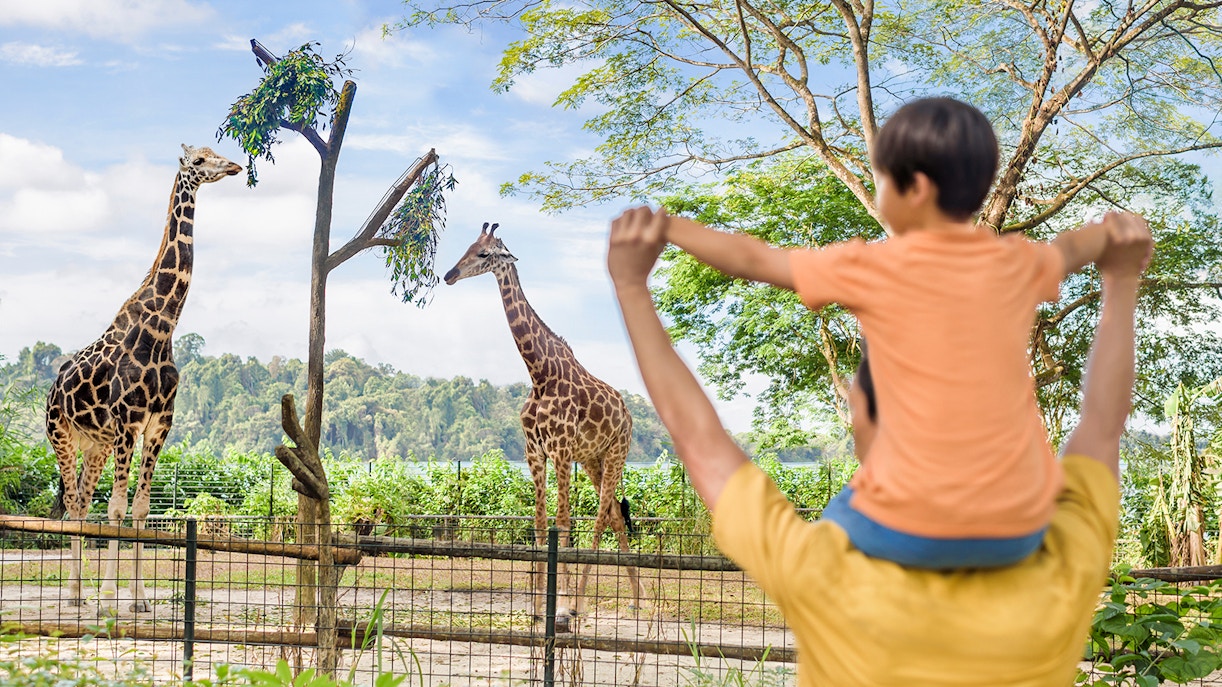 Mandai Wildlife Reserve - Getting There