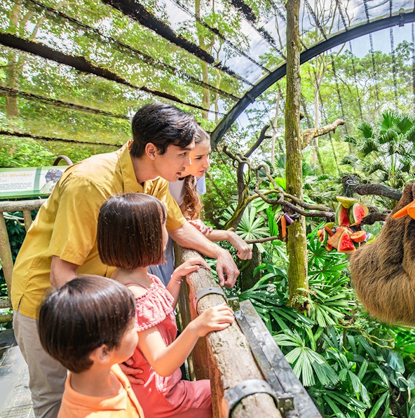 Explore Mandai Wildlife Reserve, Singapore’s unique integrated nature and wildlife destination