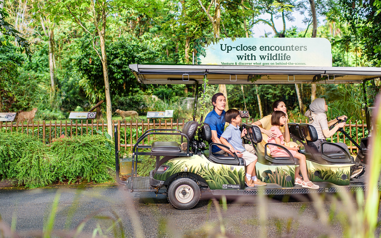 Tourists on a safari tram at Mandai Wildlife Reserve, observing cheetahs in a lush, green setting.